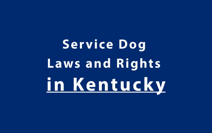 Service Dog Laws and Rights in Kentucky