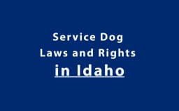 Service Dog Laws and Rights in Idaho