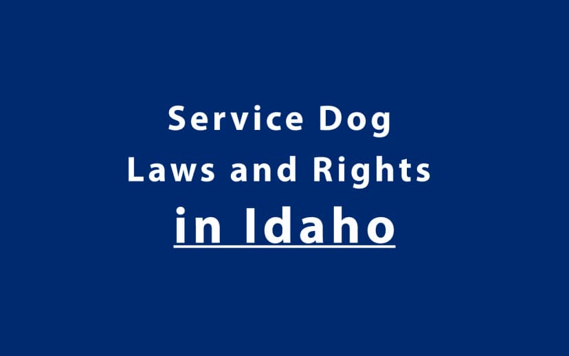 Service Dog Laws and Rights in Idaho