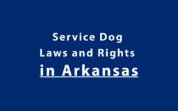 Service Dog Laws and Rights in Arkansas