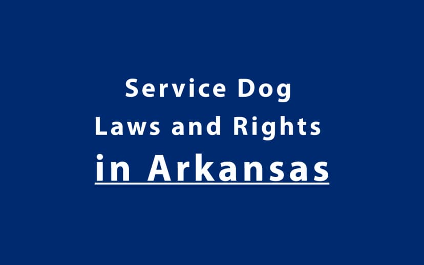 Service Dog Laws and Rights in Arkansas