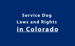 Service Dog Laws and Rights in Colorado