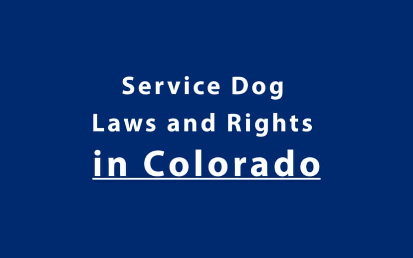 Service Dog Laws and Rights in Colorado