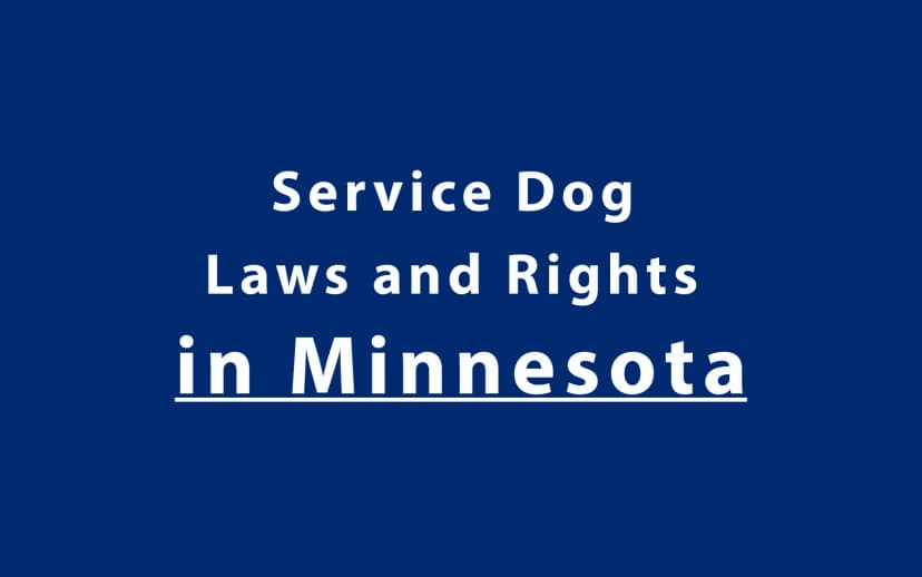 Service Dog Laws and Rights in Minnesota