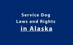 Service Dog Laws and Rights in Alaska