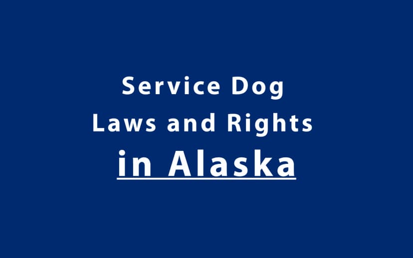 Service Dog Laws and Rights in Alaska