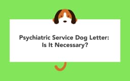 Psychiatric Service Dog Letter: Is It Necessary?