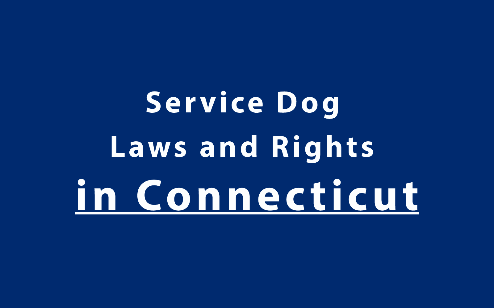 Service Dog Laws and Rights in Connecticut