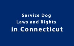 Service Dog Laws and Rights in Connecticut