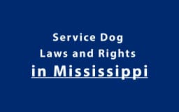 Service Dog Laws and Rights in Mississippi