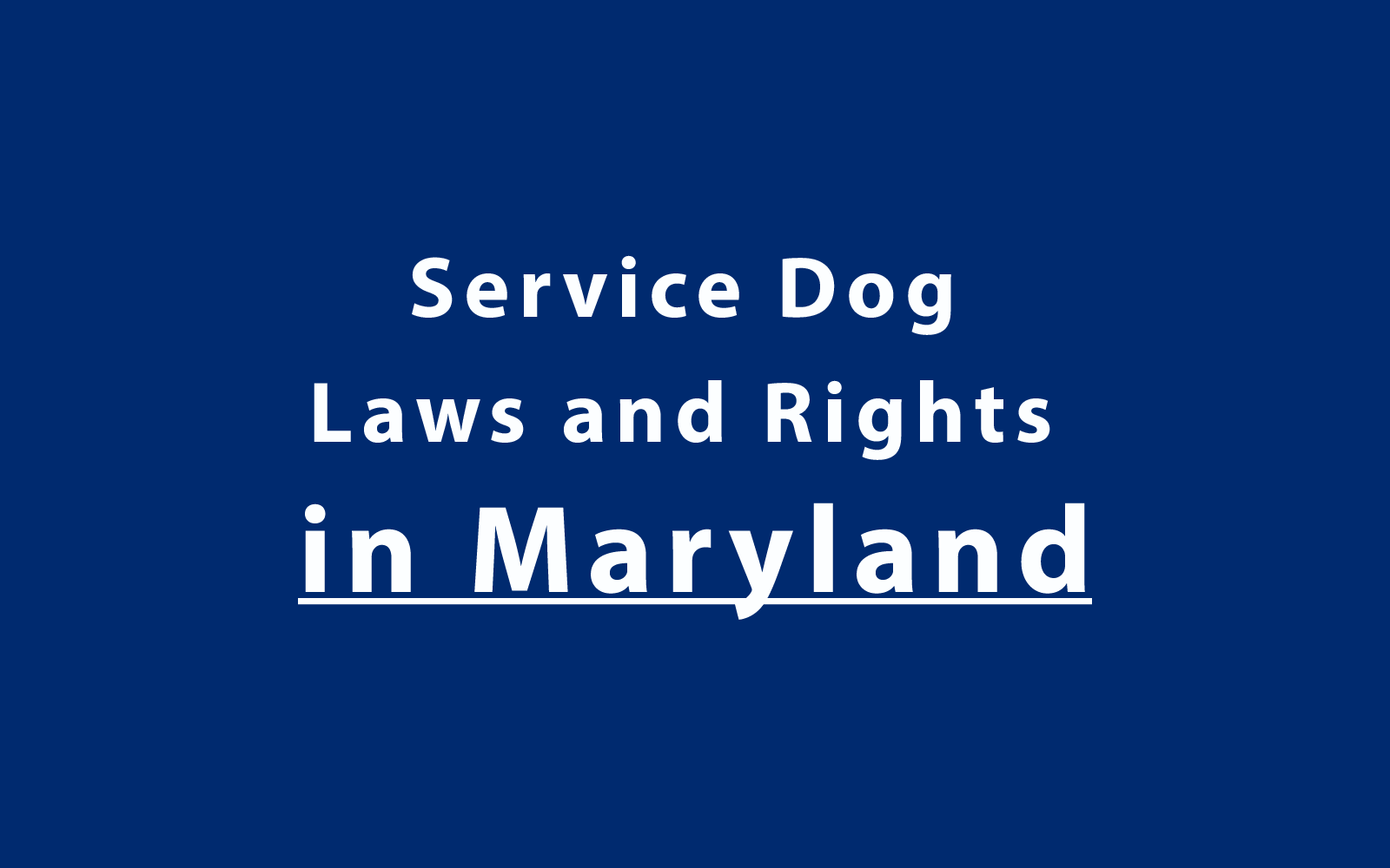 Service Dog Laws and Rights in Maryland