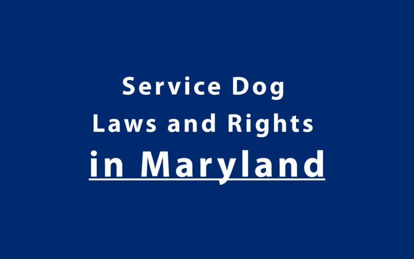 Service Dog Laws and Rights in Maryland