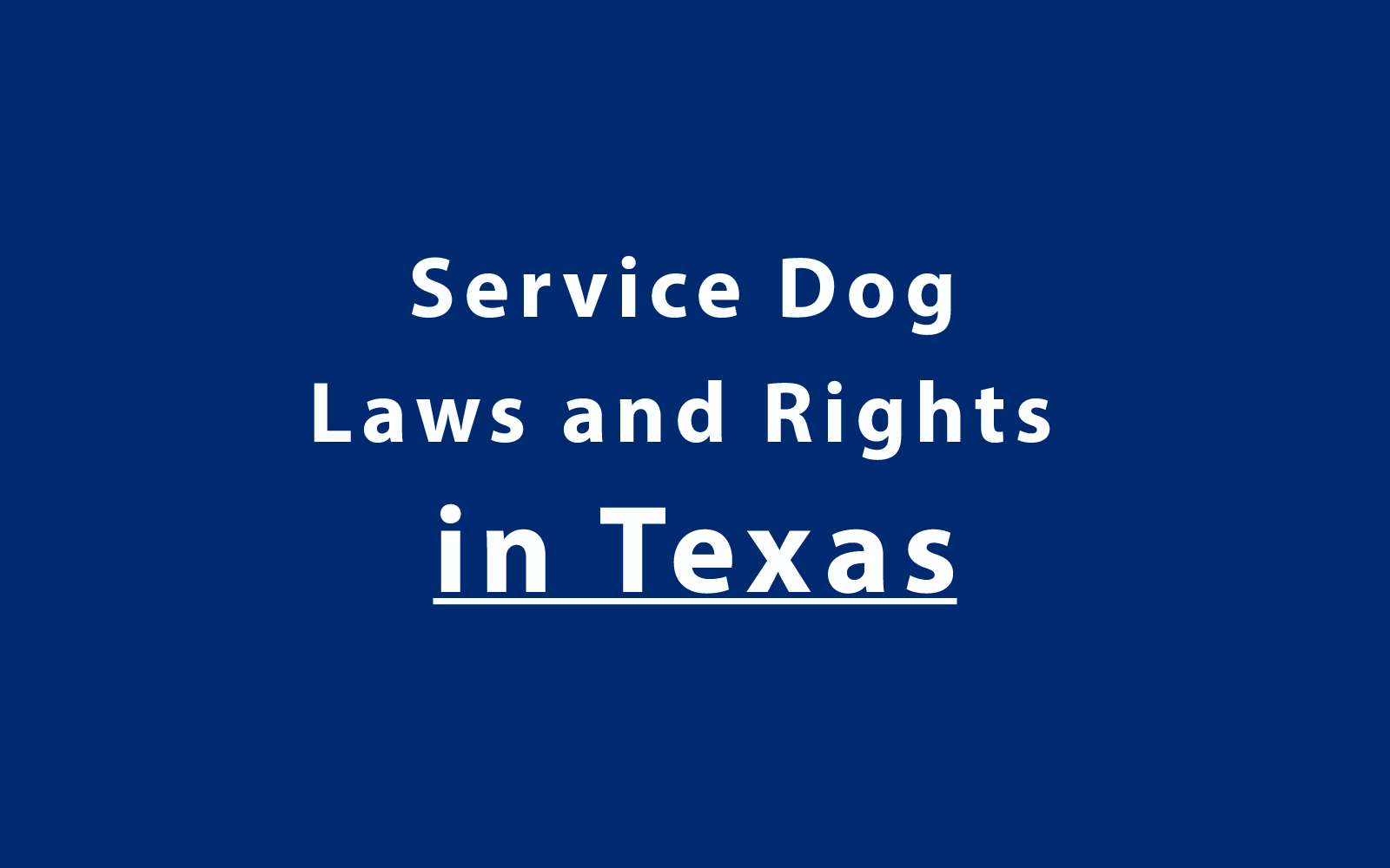 Service Dog Laws and Rights in Texas