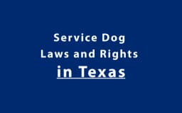 Service Dog Laws and Rights in Texas