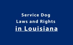 Service Dog Laws and Rights in Louisiana
