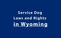 Service Dog Laws and Rights in Wyoming